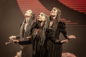 Barcelona Flamenco Ballet