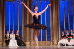 St. Petersburg Festival Ballet (Petrohradský baletní soubor) – "Labutí jezero"