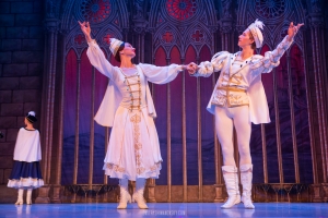 St. Petersburg Festival Ballet (Petrohradský baletní soubor) – největší Labutí jezero na světě