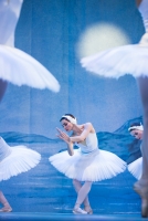 St. Petersburg Festival Ballet (Petrohradský baletní soubor) – "Labutí jezero"